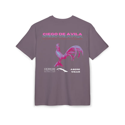 CAMISETA/PULLOVER CIEGO DE AVILA