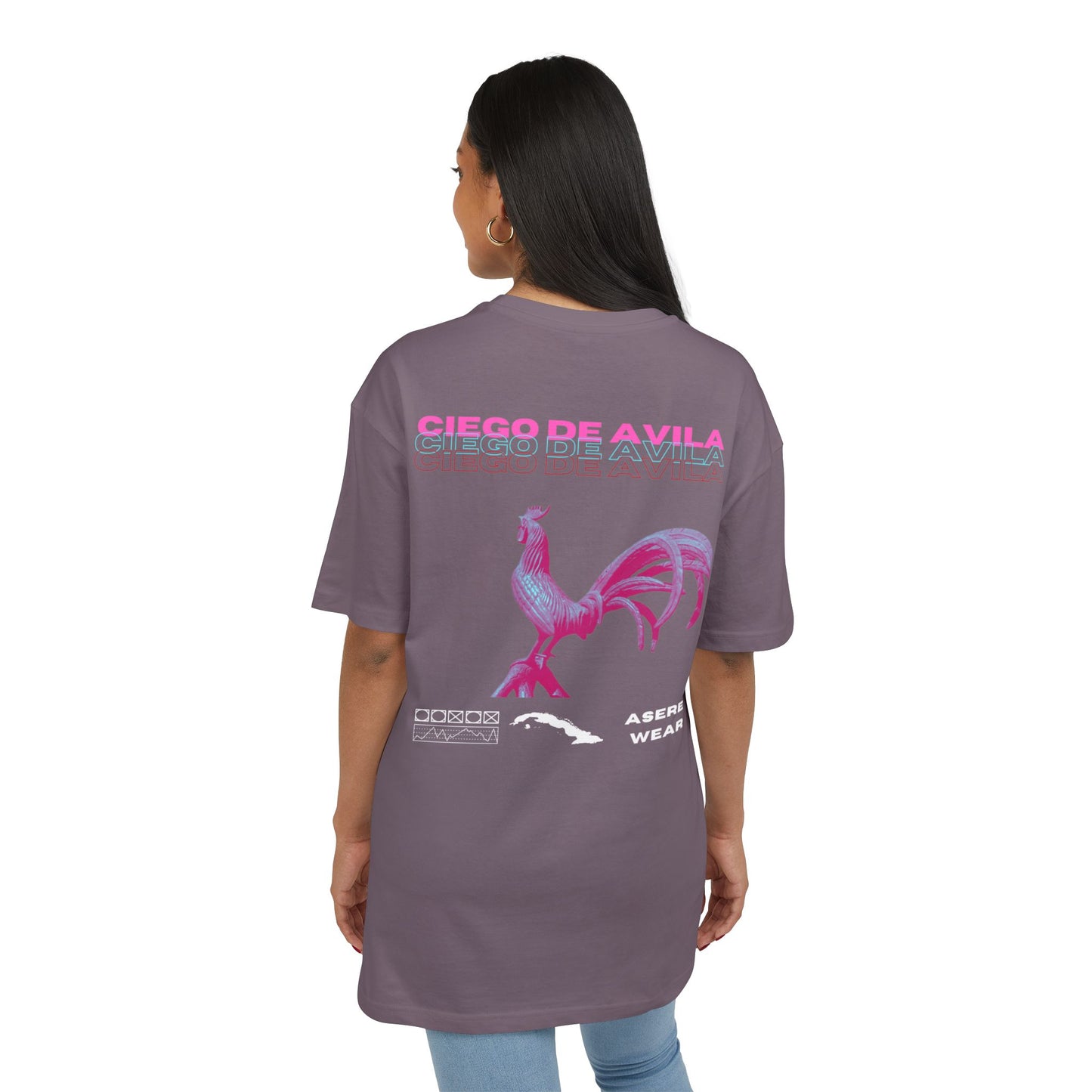 CAMISETA/PULLOVER CIEGO DE AVILA