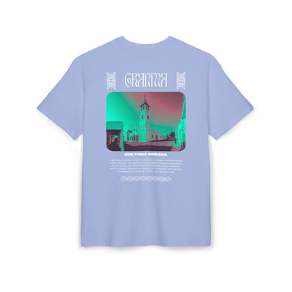 CAMISETA/PULLOVER GRANMA