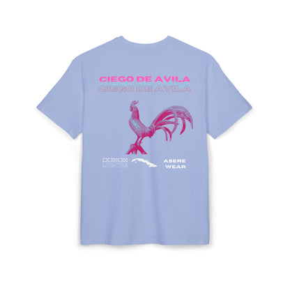 CAMISETA/PULLOVER CIEGO DE AVILA