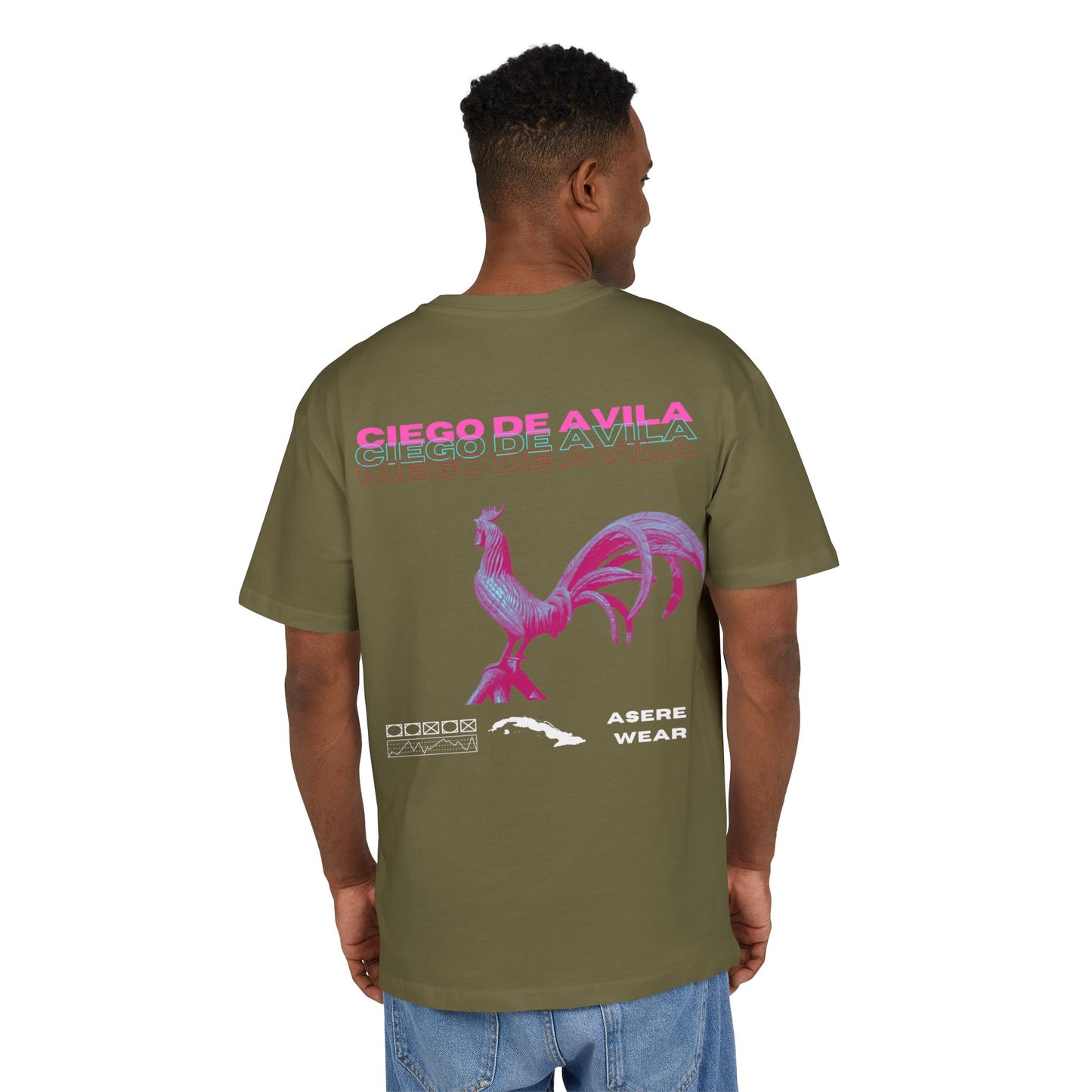 CAMISETA/PULLOVER CIEGO DE AVILA