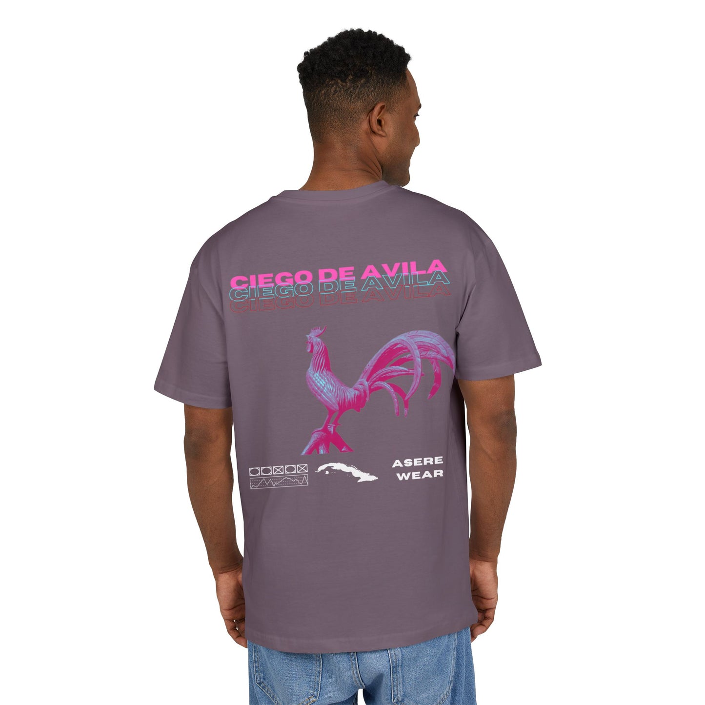 CAMISETA/PULLOVER CIEGO DE AVILA
