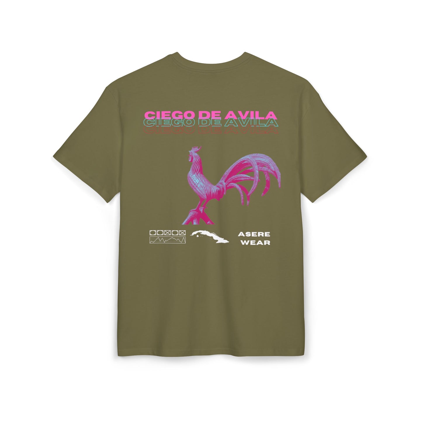 CAMISETA/PULLOVER CIEGO DE AVILA