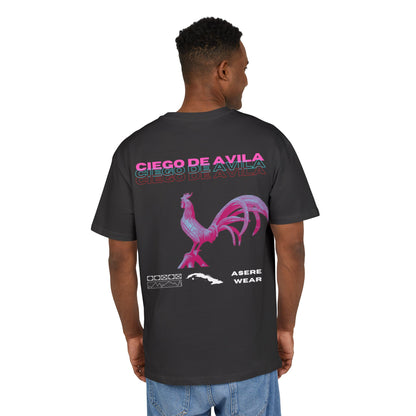 CAMISETA/PULLOVER CIEGO DE AVILA
