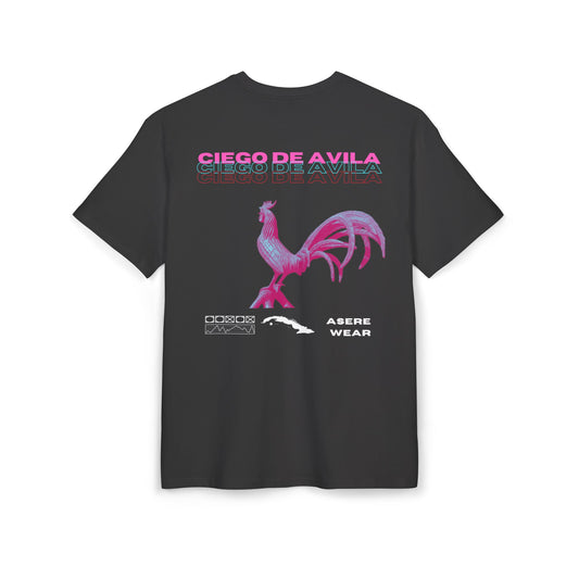 CAMISETA/PULLOVER CIEGO DE AVILA