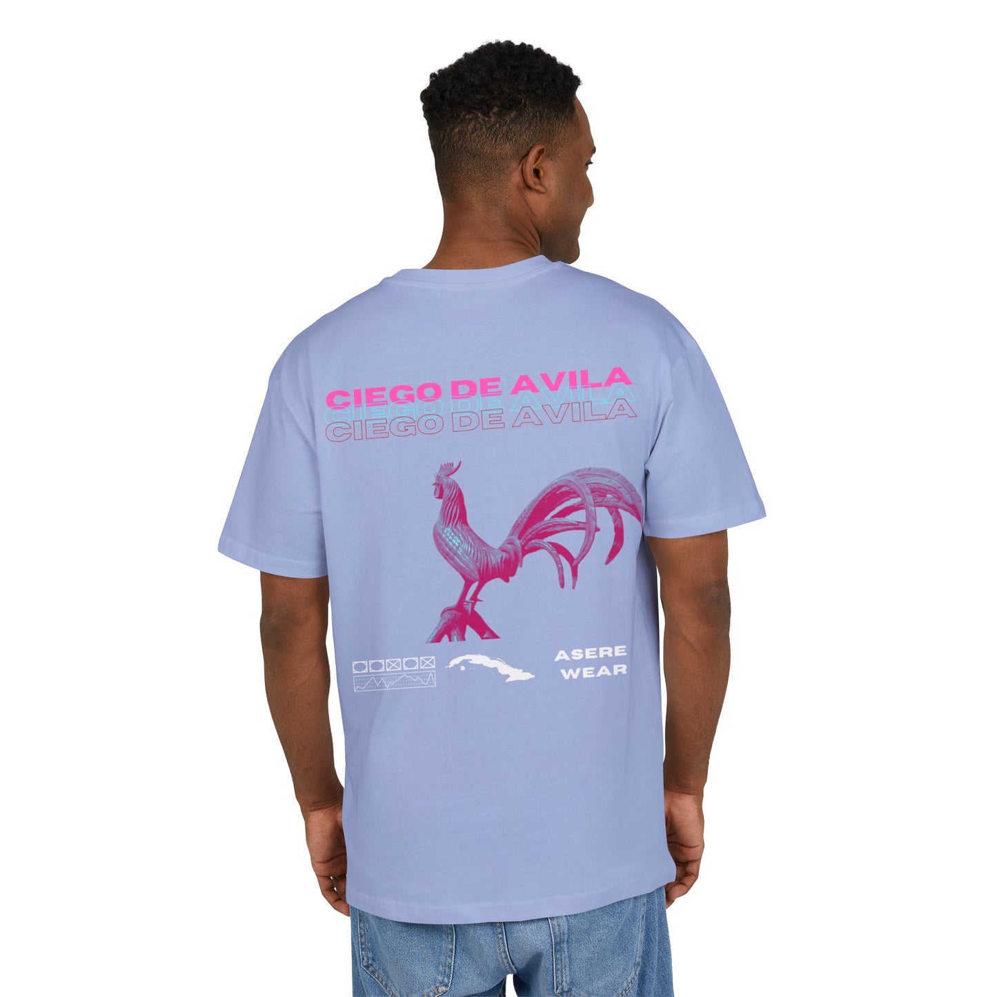 CAMISETA/PULLOVER CIEGO DE AVILA